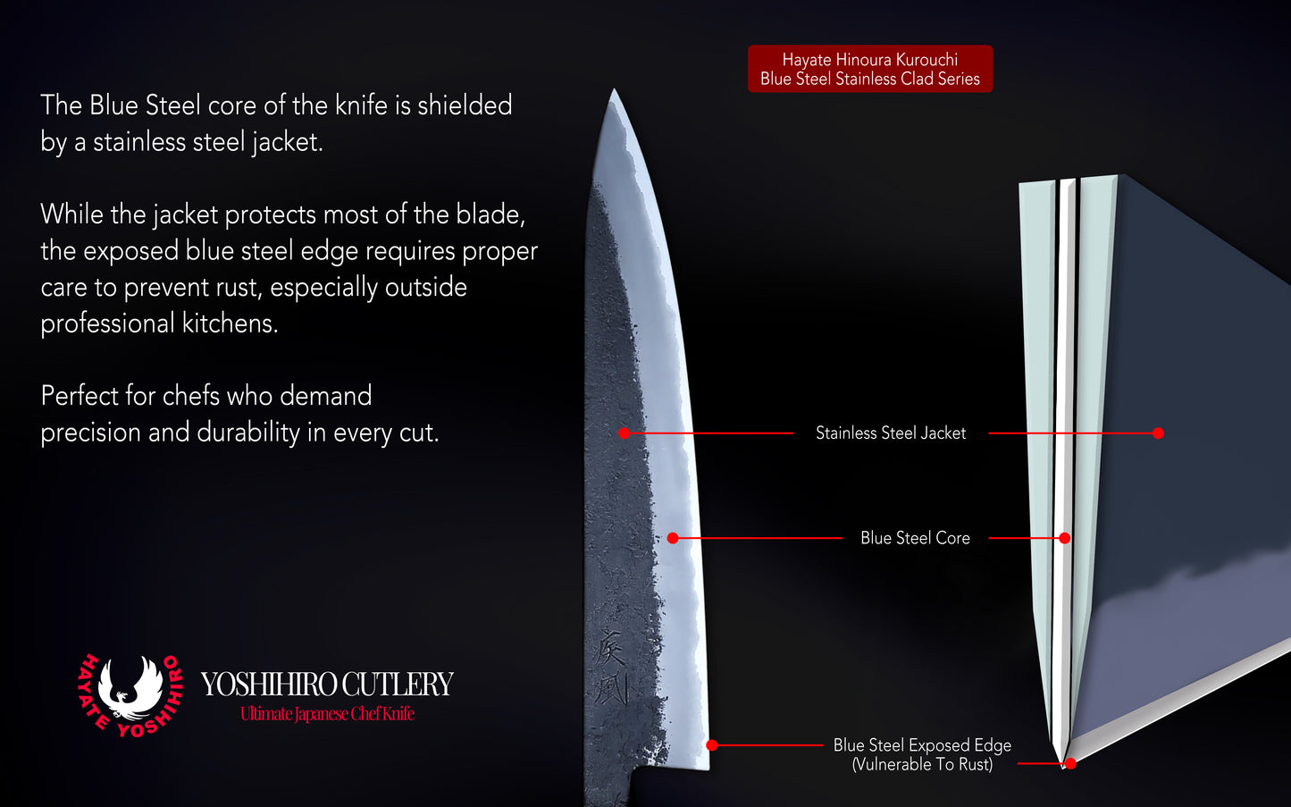 Hayate Hinoura Kurouchi Black-Forged Blue Steel Stainless Clad Gyuto Chefs Knife