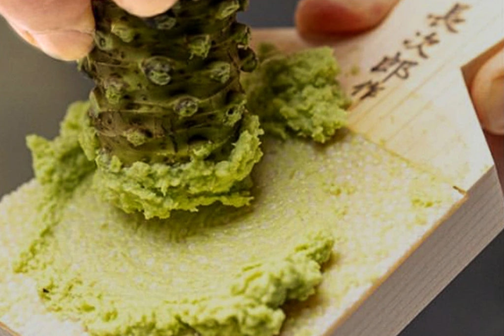 Chojiro Shark Skin Wasabi & Ginger Japanese Grater 1 pc