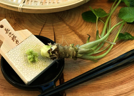 Chojiro Shark Skin Wasabi & Ginger Japanese Grater 1 pc