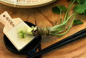 Japanese sharkskin grater board with ginger root and wasabi paste