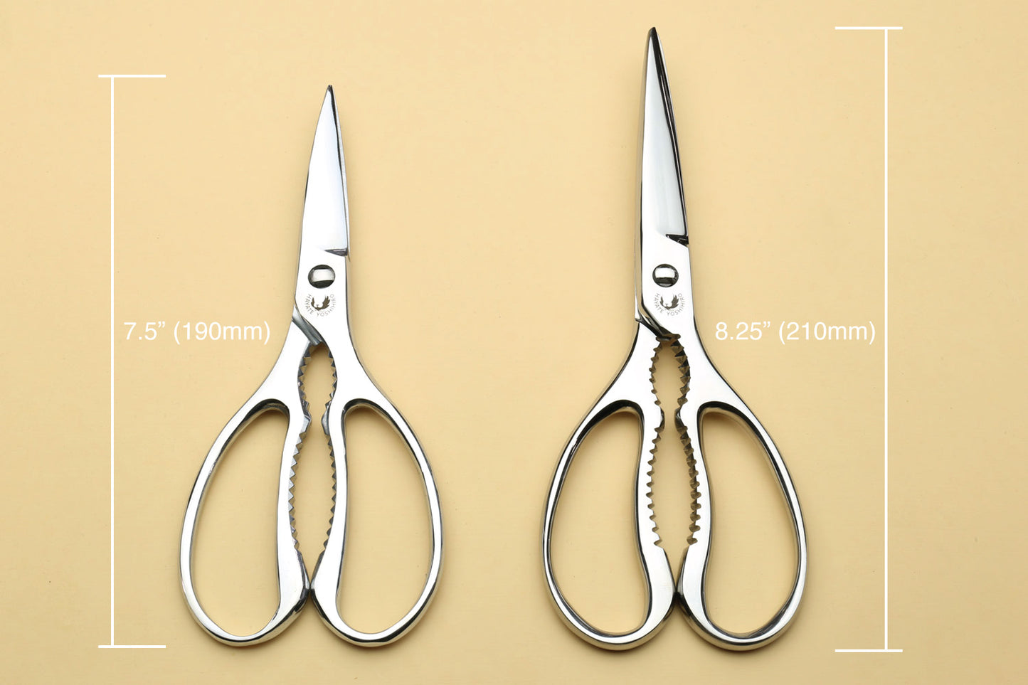 Yoshihiro All Stainless Steel Japanese Kitchen Shears / Scissors (Regular)