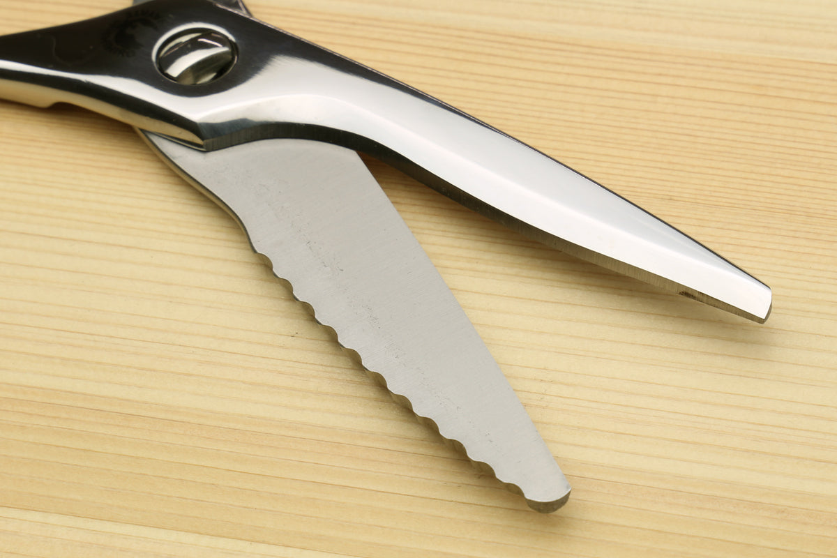 Stainless steel Japanese kitchen shears with scalloped grip blade and loop handle.