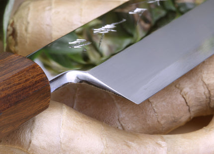 Yoshihiro  Ginsan Mirror Polished Stain Resistant Edo Usuba Traditional Japanese Vegetable Chopping Chef Knife Ebony Handle with Silver Ring
