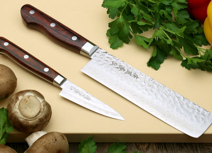 Yoshihiro VG-10 16 Layer Hammered Damascus Stainless Steel Nakiri and Paring Knife Set