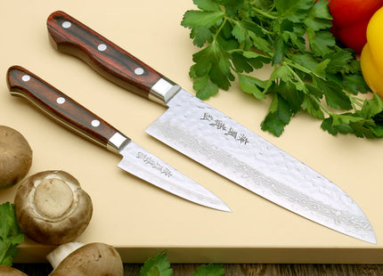 Yoshihiro VG-10 16 Layer Hammered Damascus Stainless Steel Santoku and Paring Knife Set