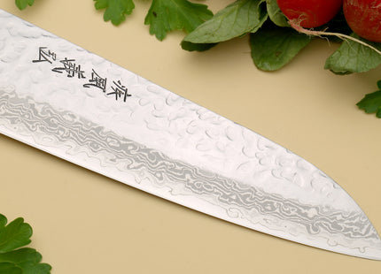 Yoshihiro VG-10 16 Layer Hammered Damascus Stainless Steel Santoku and Paring Knife Set