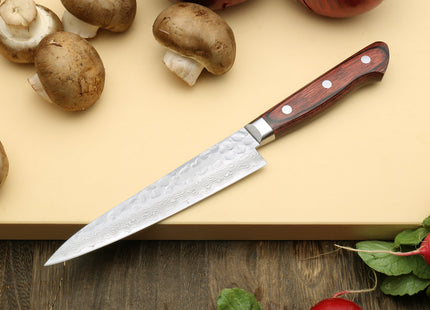 Yoshihiro VG-10 16 Layer Hammered Damascus Stainless Steel Santoku and Petty Knife Set